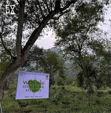 NHÀ RANG BỀN VỮNG