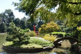 På plantagen finns allt som behövs för ett växande liv. Botanisk Tradgard Arkiv Gladigront