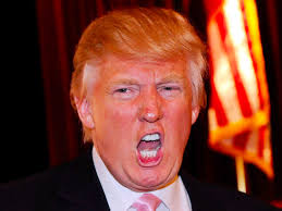 Donald trump's hair looks like this caterpillar. Is Donald Trump Really Bald We Examine The Evidence Business Insider