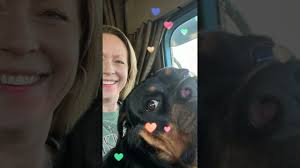 We are a team 🥰 #rottweilerlove #truckdrivers