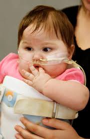 Daily Published Photos: September 17, 2009