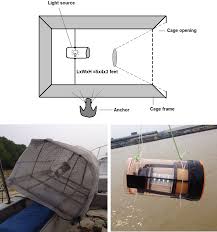Online mapmega art industries sdn bhd map & directions. Dna Barcoding Of Ichthyoplankton And Juvenile Fishes Of A Tropical River In Malaysia Springerlink