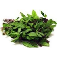Sayur ini kesukaan semua yang di rumah.apa lagi di santan seperti ini.waktu masih tinggal sama orang tua sering sekali masak ini kadang di campur sama terong pipit makan nya lahap dengan sambal terasi dan ikan asin waaah makin endul. Purchase Wholesale Cucumber Sold Per Kg From Trusted Suppliers In Malaysia Dropee Com