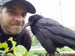East Vancouver's Canuck the Crow stars in his second documentary