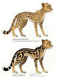 Nirmala explains that kion still has much to do before he is fully healed, but. Guepardo Rey Lion King Fan Art Cute Animal Drawings Big Cats Art