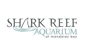 Shark Reef Aquarium Military Com