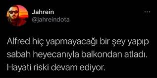 Jahrein alfred ile yaşadığı anıları anlatıyor ve çılgın kedilerin nedenini sorguluyor. Unlu Twitch Yayincisi Ahmet Jahrein Sonuc Un Kopegi Balkondan Dustu Gundem Haberleri