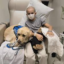 🚨 First they brushed off his chest pain as asthma. Then they diagnosed him  with a cancer — that needed aggressive treatment — he never had. This is  Tanner's story. The cute