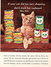 Vintage 1966 Friskies Cat Food Magazine Ad Orange Cat Kitsch Etsy Canned Cat Food Cat Food Vintage Cat