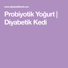Probiyotik Yogurt Diyabetik Kedi Yogurt Kedi
