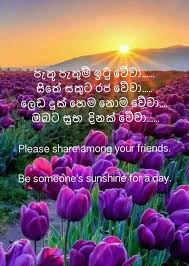 Romantic Lover Birthday Wishes For Boyfriend In Sinhala Nisadas Pin By Shiromi Hettiarachchi On Galary Morning Quotes Good Morning Quotes Distance Love Quotes