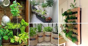 Want to decorate your home on a budget? Low Budget And Easy Container Ideas For Herb Garden Homedesigninspired