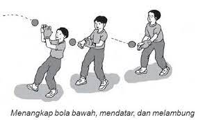 Sedangkan cabang olahraga lempar diantaranya lempar lembing, lempar cakram, dan tolak peluru. Permainan Bola Kasti Lengkap Teknik Peraturan Dan Perlengkapan Olahragapedia Com