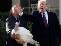 Check spelling or type a new query. Trump Cancels Thanksgiving At Mar A Lago Aides Say Bunker Mentality