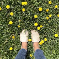 Terra soul ⭐ , ⓜ chistye prudy, russia, moscow, makarenko street, 4с1: Unshoes Terra Vida Review Casual Barefoot Shoes For Everyday Anya S Reviews