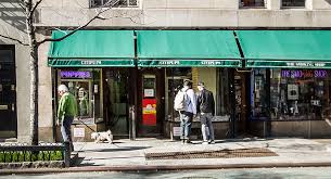 We invite everyone to come and. Citipups New York S Finest Companion Provider Citipups Offers A Wide Range Of Services For Your Pet Free Home Delivery Of Supplies Expert Grooming Dog Walking And Pet Sitting Daycare