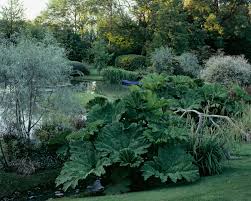Jardin D O Jardin Camille Muller Paysagiste Jardin De Topiaires Jardins Camille Muller