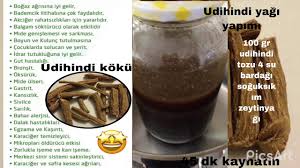 Udi hindi'nin diğer bir adı öd ağacıdır. Udihindi Yagi Yapimi 100 Gr Udihindi Tozu 4 Su Bardagi Soguksikim Zeytinyagi Youtube