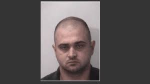 Tennessee man accused of sex act with horse twice in one week