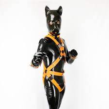 Sony on X: @sonypup ready dog ! photo by : @AdsoKinky catsuit :  @LatexCatfish Hood : @BlackstyleLatex Harness : @TeaseFox #rubber #furry  #petplay #latex #fetish #rubberfur t.coZKtY4xAEnE  X