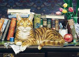 Marmaduke 1000 Pieces Cobble Hill Puzzle Warehouse In 2021 Cat Puzzle Cat Posters Cats