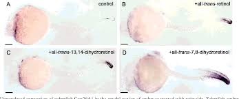Trans7 (sebelumnya bernama tv7) adalah sebuah stasiun televisi swasta nasional di indonesia. Pdf Specificity Of Zebrafish Retinol Saturase Formation Of All Trans 13 14 Dihydroretinol And All Trans 7 8 Dihydroretinol Semantic Scholar