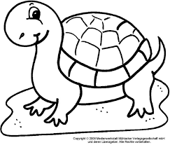 Malvorlagen Schildkrote Ausmalbilder Schildkrote Ausmalbilder Ausmalbilder Kinder