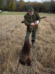 Image result for německý křepelák postava