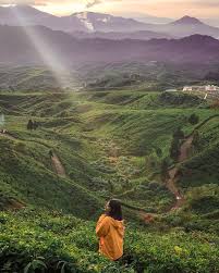 Wisata bogor tidak hanya wisata buatan.tetapi banyak jg wisata alam seperti curug,sungai,dll. 28 Tempat Wisata Alam Di Bogor Paling Instagramable Di Bogor Yang Tak Boleh Dilewatkan
