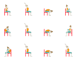 Chair Yoga Chair Surya Namaskar Chair Sun Salutation Chair Yoga Chair Pose Yoga Chair Yoga Sequence