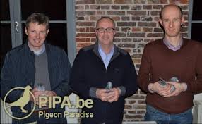 Explore tumblr posts and blogs tagged as #teambreed with no restrictions, modern design and the best experience | tumgir. Team Bds Ruiselede Be Achieves Great Results Thanks To A High Quality Breed Pipa