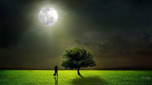 Starry night with a full moon Evening Field Wallpapers 4k Hd Evening Field Backgrounds On Wallpaperbat