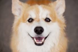 Pin by Jennifer Gaff