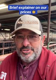 Understanding the Pricing Strategy at Rutherford Land & Cattle