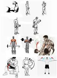 Check Out This Effective Workout Biceps Workout Best Bicep Workout Bicep Workout Routine