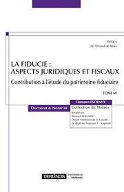 Laetitia Pdf La Fiducie Aspects Juridiques Et Fiscaux Tome 60 Doctorat Droit Prive Listes De Lecture