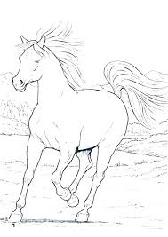 We did not find results for: Wild Horse Realistic Wild Horse Coloring Pages Horses Novocom Top