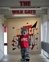 Hey, you 🫵. Long time, no see! Fall semester is right around the corner,  but there's still time to secure your classes and set yourself up for  academic success. Explore courses, deadlines,