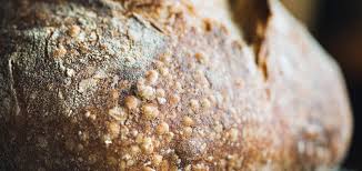 Epingle Sur Cuisine