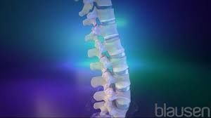 Terminators are required at both ends of the backbone cable. Spinal Cord Brain Spinal Cord And Nerve Disorders Msd Manual Consumer Version