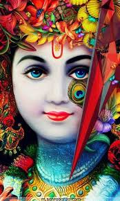 Krishna Mehta (krishnamehta965)