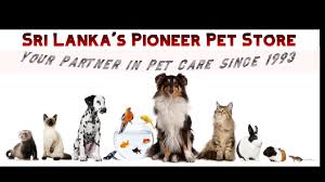 They are not a considerable threat. The K 9 Your Partner In Pet Care