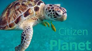 Si tratta di una giornata utile per riflettere sui benefici che gli oceani ci donano e il dovere da parte di ognuno di difendere questo ecosistema, e non compromettere questo ambiente per le generazioni future. 8 Giugno Giornata Mondiale Oceani