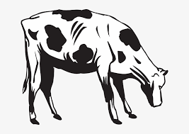 Check spelling or type a new query. Going Farm Cow Art Animal Eat Eating Cow Eating Grass Drawing Png Image Transparent Png Free Download On Seekpng