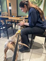 Teckels Animal Sanctuaries...