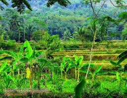 Link download bermacam contoh gambar mewarna alam. Gambar Pemandangan Full Hd