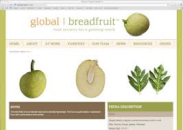 Download 6 Questions How Breadfruit Will Change The World Batesmeron