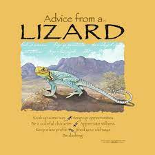 Pin On Lizards And Frogs