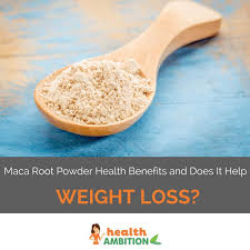 Check spelling or type a new query. What Are The Maca Root Powder Benefits And Does It Help Weight Loss Health Ambition