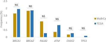 Bcwa provides emotional, social and material support; The Molecular Landscape Of Asian Breast Cancers Reveals Clinically Relevant Population Specific Differences Biorxiv